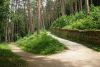 DSC03948.thumb.JPG.db7d07cb993274984f4179aa59709bab.JPG