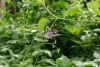 DSC03957.thumb.JPG.82f97646ff294e898d96a7037fde55d4.JPG