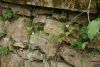 DSC03960.thumb.JPG.f07ad7a28d464112bbabd8bb12e7e3a7.JPG