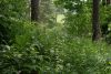 DSC03972.thumb.JPG.a8f63c6ceef6ce2f5b231ac5c3458017.JPG