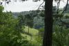 DSC03974.thumb.JPG.7feeb0da109f670bece62a8089b21f1e.JPG
