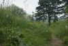 DSC03976.thumb.JPG.a835d569c58175fe3bc0984fbbdfe50e.JPG