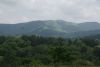 DSC03977.thumb.JPG.6ab418e97e2c60cd08680b06c159e759.JPG
