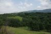 DSC03993.thumb.JPG.05b349b0632ec686b48e216f26741bed.JPG