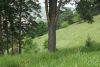 DSC03999.thumb.JPG.3144a3523e84d3cd338171fb257cdda3.JPG