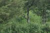 DSC04012.thumb.JPG.ed938a4504852a81599a1037327337b8.JPG