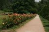 DSC04077.thumb.JPG.38089b7870ab00d51b3c6035dc566433.JPG