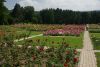 DSC04104.thumb.JPG.d49dfa8d899a850af4534a54a30f016f.JPG
