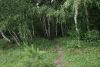 DSC04183.thumb.JPG.6bb56e09ec01d791b09b5eb93c7c6d0d.JPG