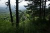 DSC04247.thumb.JPG.4fd159d0677a4b15ab99f9ebdd254fc4.JPG