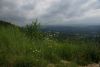 DSC04258.thumb.JPG.9fb04bf3ea6743f65ef04bc487a8a95d.JPG