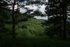 DSC04265.thumb.JPG.263c22390fd5e86388775fd688654288.JPG