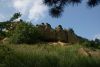 DSC04356.thumb.JPG.fee4cce7977d7049ddd05f6895c56348.JPG