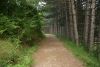 DSC04360.thumb.JPG.724aace3f9a131b62ce175f3e4735174.JPG