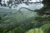DSC04462.thumb.JPG.971546aae1f711272c4d0a33b9935fa4.JPG