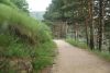 DSC04465.thumb.JPG.4dc7b3ad7b87335ce5acef50f3e72bb3.JPG