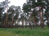 DSC04521.thumb.JPG.2ac62c7c20e891baabb95078d24f4aed.JPG