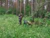 DSC04529.thumb.JPG.aa493df91ee9de82d183ef880f11c0f5.JPG