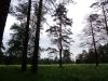 DSC04535.thumb.JPG.1bd0052558b43c6f57119c7dc2586a1a.JPG