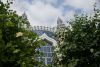 DSC04592.thumb.JPG.5c4734af76c4fcbe2c935d4218769e7b.JPG