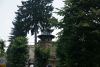 DSC04644.thumb.JPG.4fa129a099b8be5a507274e9f045e8b4.JPG