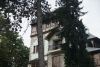 DSC04658.thumb.JPG.a332c2e01850808eff4b911f67219eac.JPG