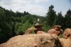 DSC04759.thumb.JPG.0c70a1f249023a8622b14417cecc4ee4.JPG