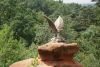 DSC04761.thumb.JPG.1f91c1d86b6c0bebc440bdf9e2134c05.JPG