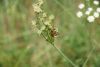 DSC04868.thumb.JPG.791e6a347048785870dcfb4be77f650f.JPG