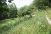 DSC04873.thumb.JPG.b1705ddf185b89f043235a9c267636be.JPG