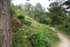 DSC04876.thumb.JPG.1e325339ee6ffb3a8a136745fe9e3a0a.JPG