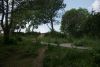 DSC04878.thumb.JPG.1c8b677cec1b78706134c04fa0da08e5.JPG