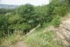 DSC04890.thumb.JPG.29c6aa9662848af818a3a74c13e14633.JPG