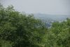 DSC04898.thumb.JPG.93078429c80cfa9fe411ef9f752f04ba.JPG