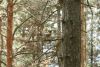 DSC04946.thumb.JPG.1eca9004e266412bd2458a0801c42d25.JPG