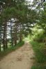 DSC05025.thumb.JPG.b6991728cde4600a1233846e55632bef.JPG