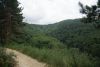 DSC05027.thumb.JPG.841427a3ce85820db19da36c810ac65f.JPG