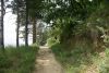 DSC05066.thumb.JPG.a91cf7fa2ee4445f94fea74afd5a31dd.JPG