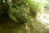 DSC05073.thumb.JPG.3dd0d598f6832923aacf760dd39f3def.JPG