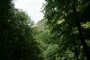 DSC05085.thumb.JPG.058e393ba988f0d4fc84cc0c42741fab.JPG