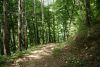 DSC05087.thumb.JPG.2c50870ba9e3fcbc217b03ccaac23c62.JPG