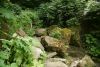 DSC05089.thumb.JPG.663eafb24b95a547cc95d5540b530896.JPG