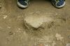 DSC05095.thumb.JPG.858ef9d7107931f1961454b9a21b3594.JPG