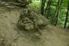 DSC05110.thumb.JPG.e0a394ba4e9557e6ee4c7a19eeaabbd1.JPG