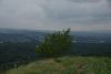 DSC05125.thumb.JPG.d0b87c22ccdd94e00a634a5c9318c758.JPG