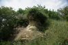 DSC05154.thumb.JPG.cdbad2c86c821b93ded3ae2a492e5e01.JPG