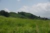 DSC05206.thumb.JPG.cebe4ce4e3e3787e47454d193d36915b.JPG