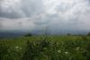 DSC05210.thumb.JPG.a1d3fc9a53f168ba2d962e9f1209b000.JPG