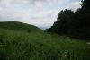 DSC05219.thumb.JPG.e9fba4633226eaf5ebe65dd68866a7bb.JPG