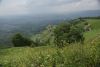 DSC05246.thumb.JPG.627ddf78c94e4dd89601a85310419e4e.JPG